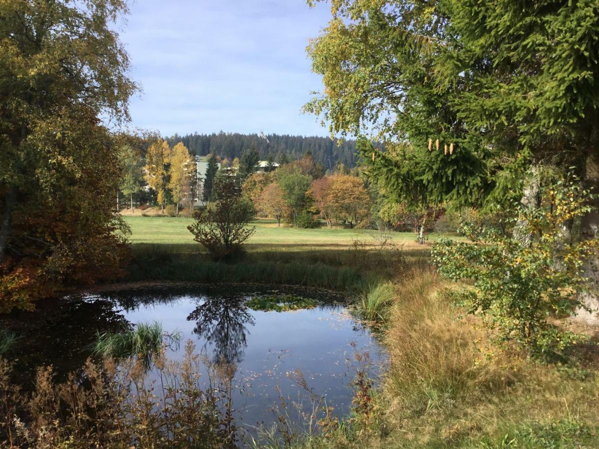 1Z. FeWo 485 barbo Schwimmbad, Sauna, Fitness Schönwalde Exterior foto